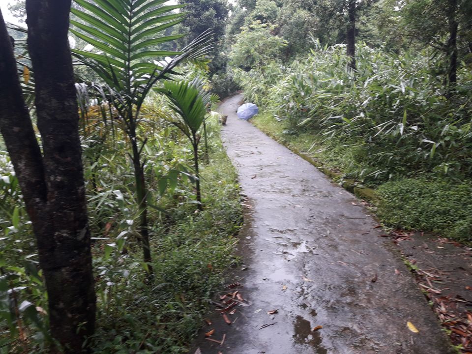 Photo of Mawlynnong - the cleanest village in Asia! 1/12 by Ryokõ-shä