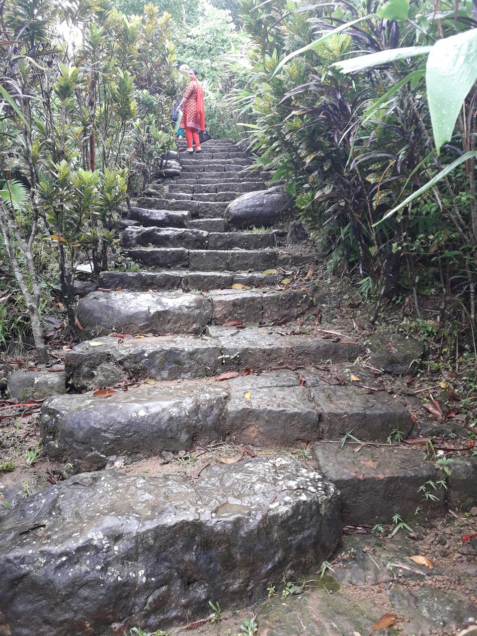 Photo of Mawlynnong - the cleanest village in Asia! 5/12 by Ryokõ-shä