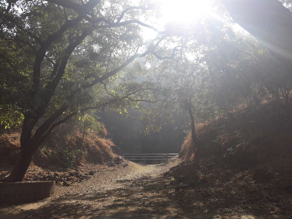 Photo of Elephanta Caves - the island of cave temples! by Ryokõ-shä