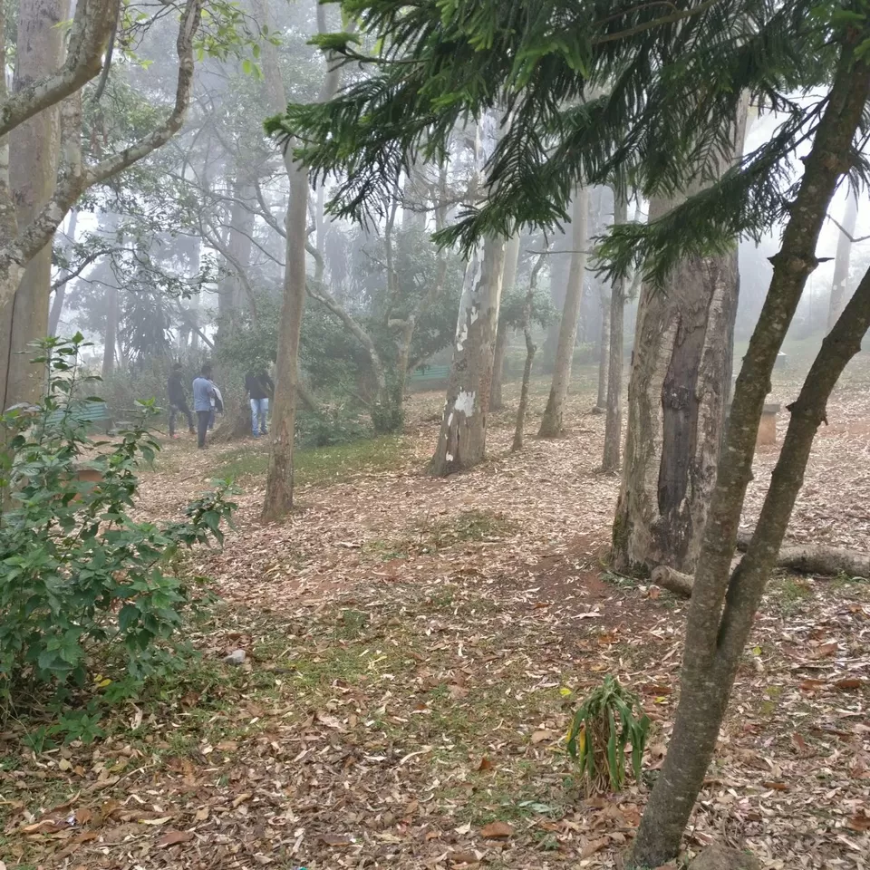 Photo of Nandi Hills- Weekend destination of Bangalore by Ryokõ-shä