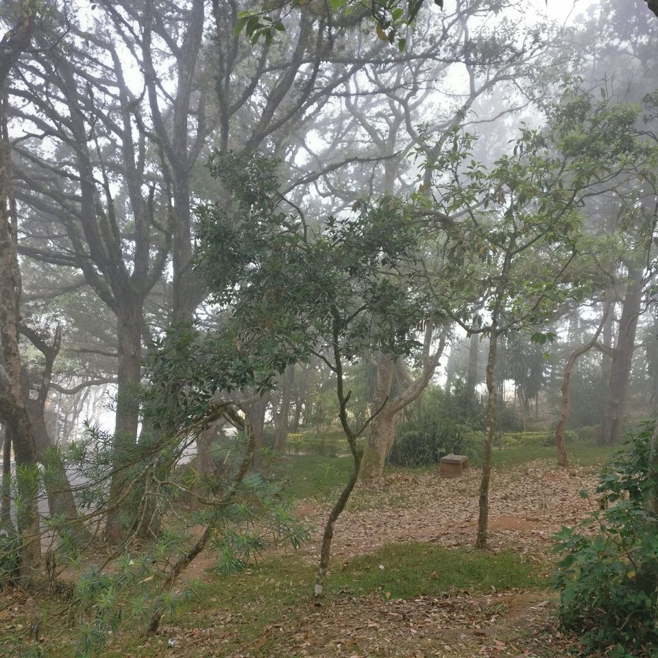 Photo of Nandi Hills- Weekend destination of Bangalore by Ryokõ-shä