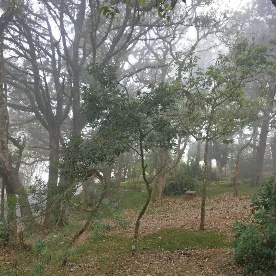 Photo of Nandi Hills- Weekend destination of Bangalore by Ryokõ-shä