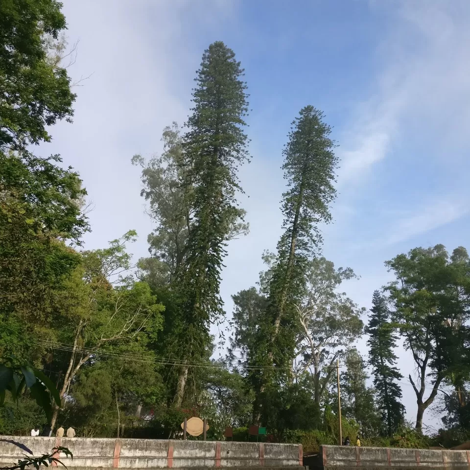 Photo of Nandi Hills- Weekend destination of Bangalore by Ryokõ-shä