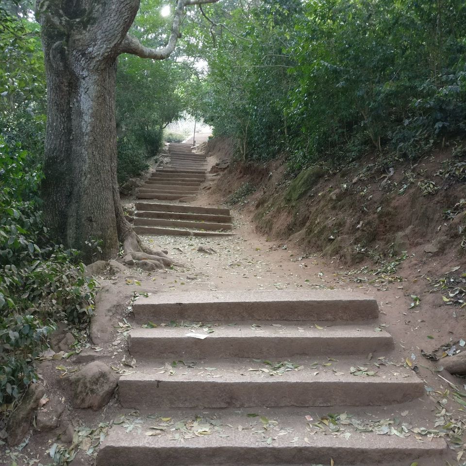Photo of Nandi Hills- Weekend destination of Bangalore by Ryokõ-shä
