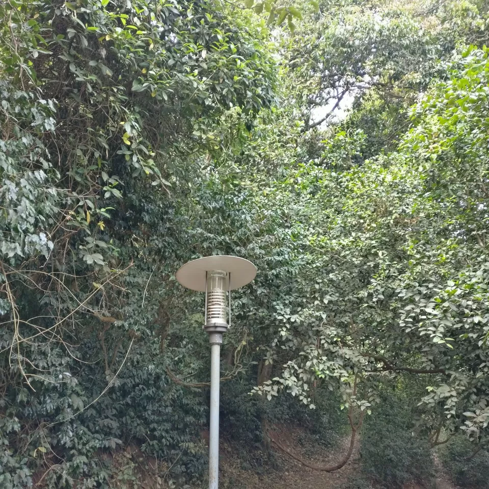 Photo of Nandi Hills- Weekend destination of Bangalore by Ryokõ-shä