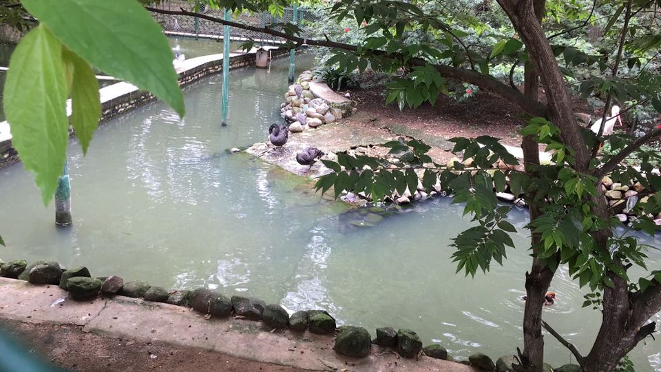 Photo of Weekend amidst the wild -Bannerghatta Biological Park by Ryokõ-shä