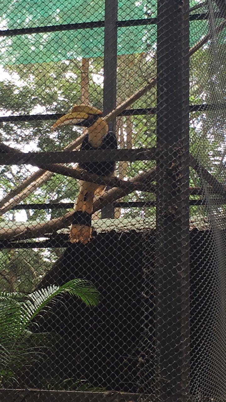 Photo of Weekend amidst the wild -Bannerghatta Biological Park by Ryokõ-shä