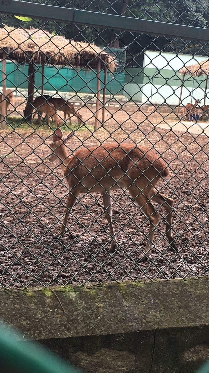 Photo of Weekend amidst the wild -Bannerghatta Biological Park by Ryokõ-shä