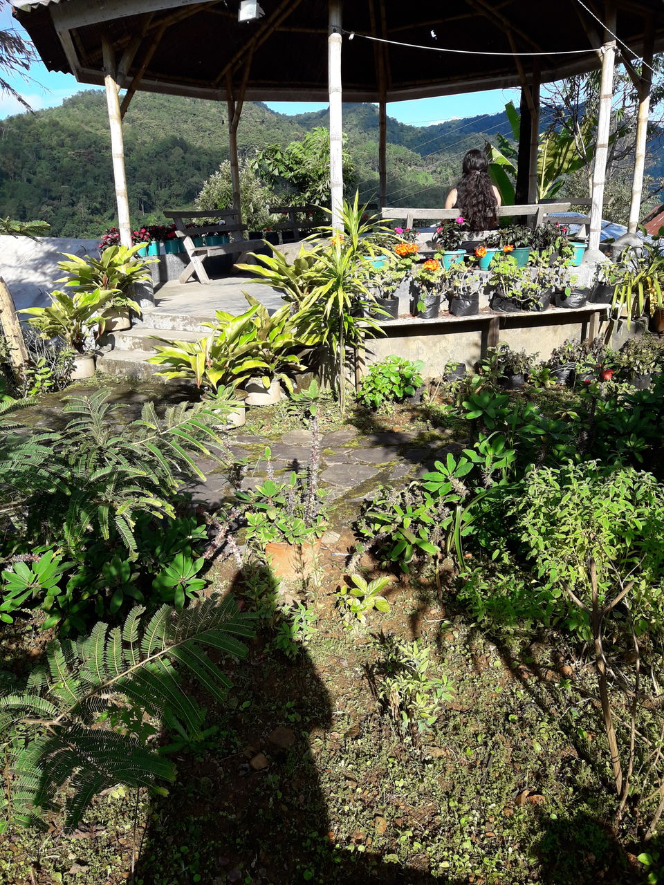 Photo of Touphema Village home stays 9/10 by Ryokõ-shä