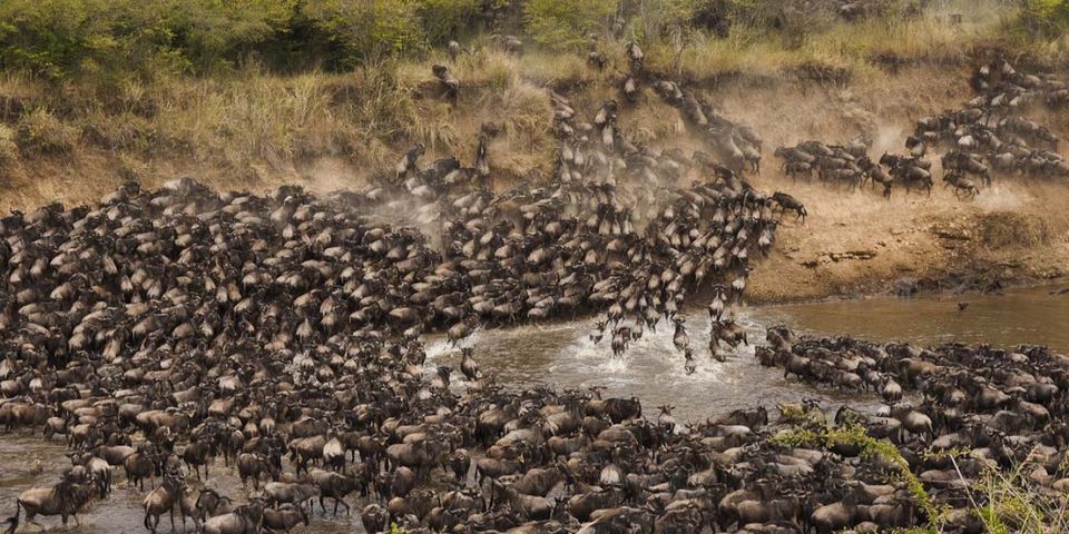 Photo of Migration Safari -A Natural Wonder of the World 3/5 by Ryokõ-shä
