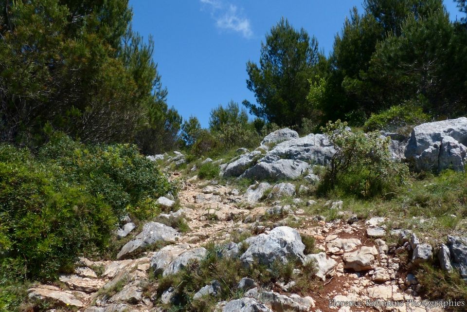 Photo of EZE- A Dreamy Village with the motto ISIS MORIENDO RENASCOR 5/5 by Ryokõ-shä