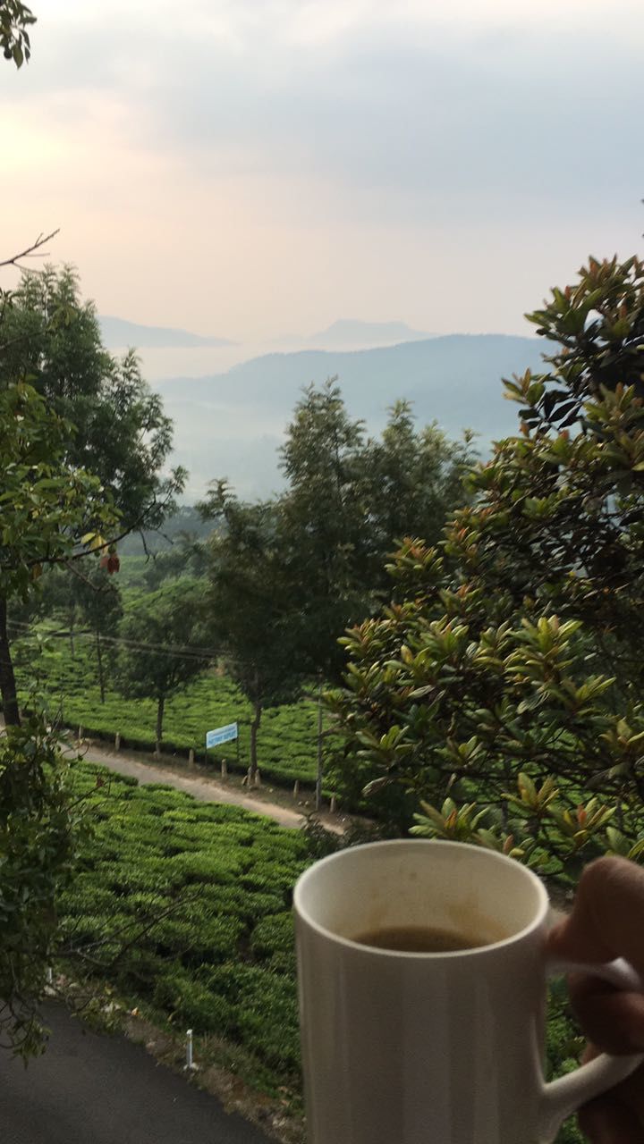 Photo of Munnar - a different paradise! 3/7 by Ryokõ-shä