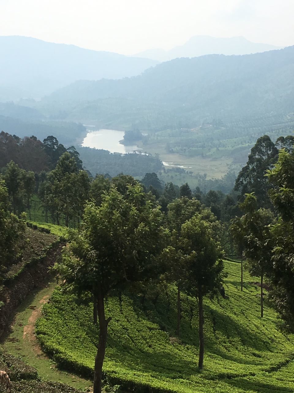Photo of Munnar - a different paradise! 5/7 by Ryokõ-shä