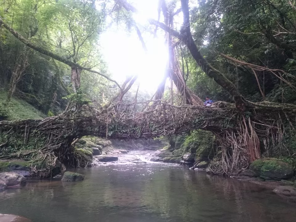 Photo of Cherrapunjee - the 'ex' wettest place of India by Ryokõ-shä