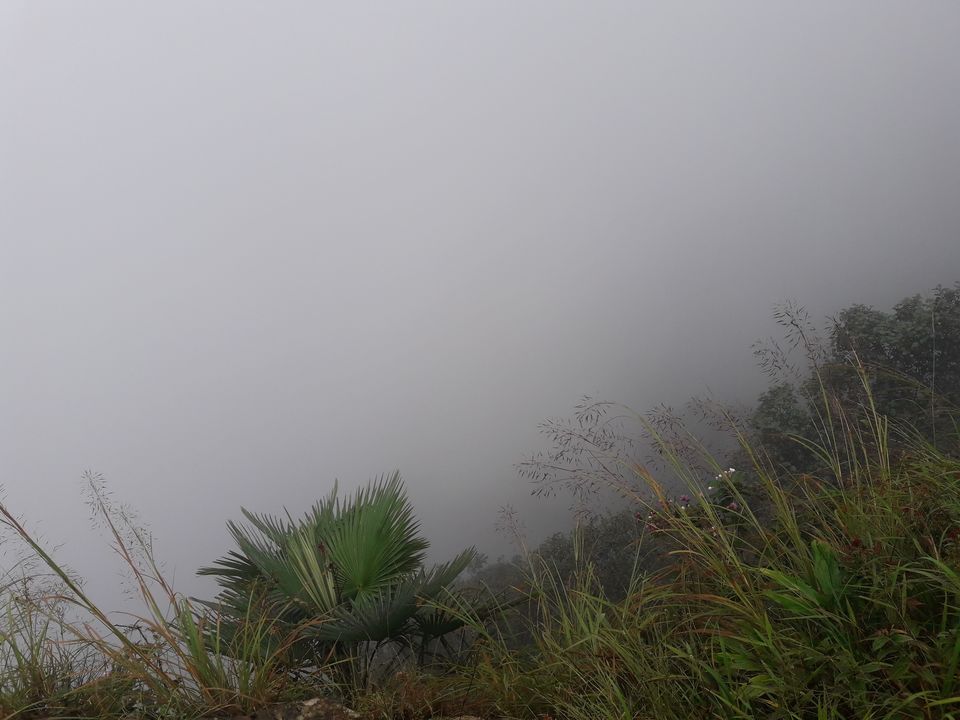 Photo of Cherrapunjee, Meghalaya, India by Ryokõ-shä