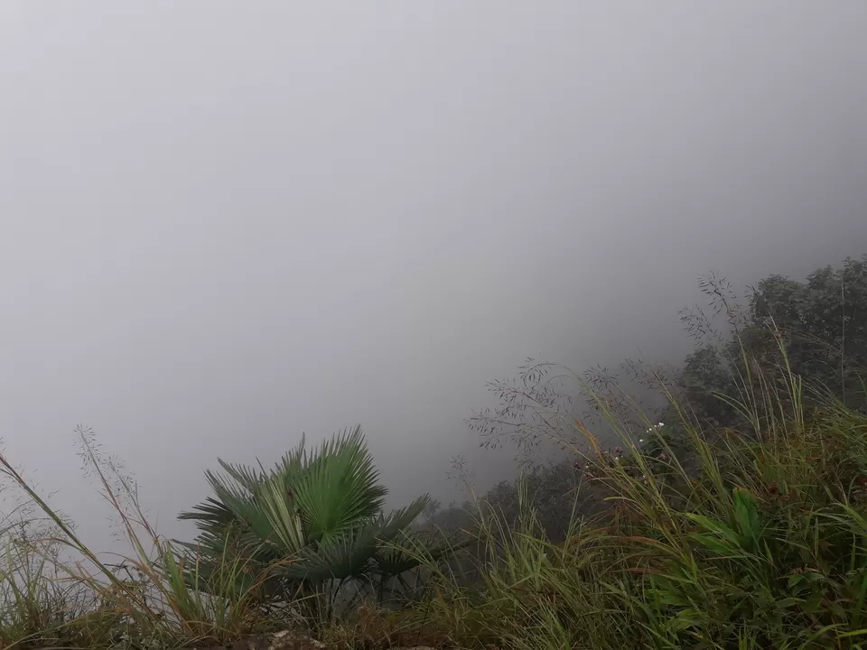 Photo of Cherrapunjee, Meghalaya, India by Ryokõ-shä