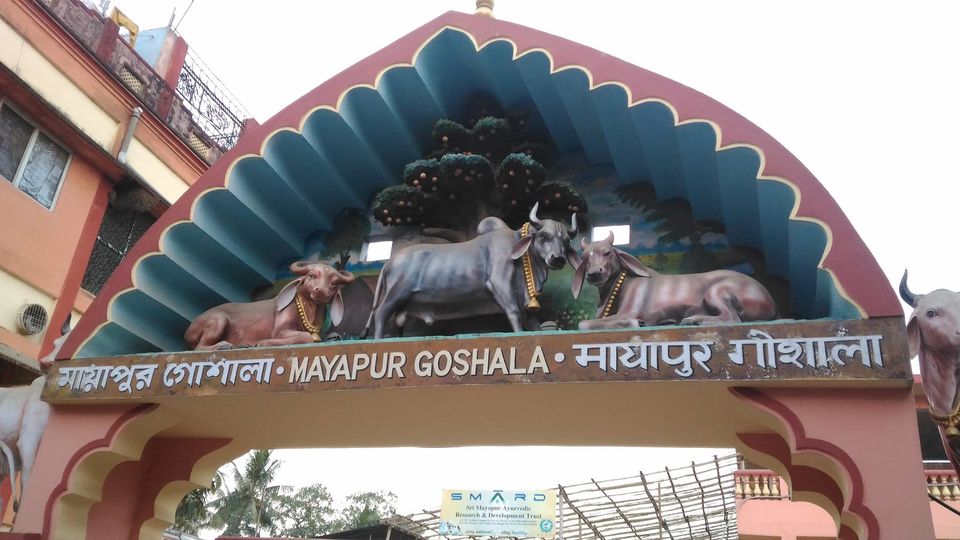 Photo of A weekend at Mayapur - ISKCON Temple by Ryokõ-shä