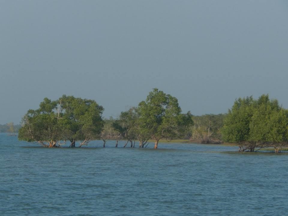 Photo of Sundarbans by Ryokõ-shä