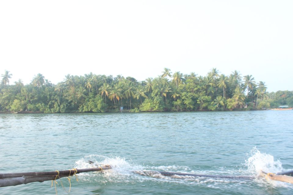 Photo of Ditch Goa - Go Tarkali! by Ryokõ-shä