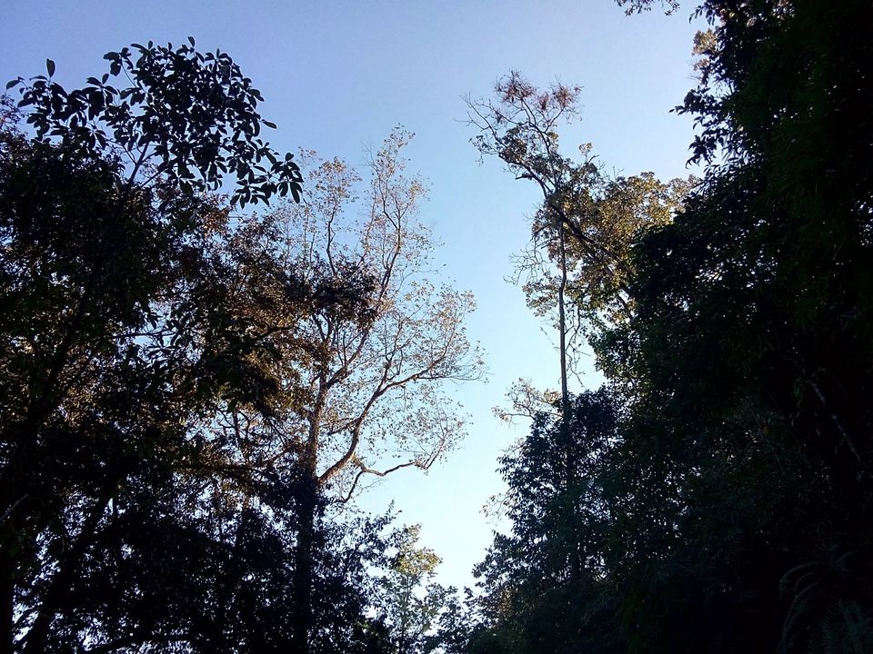 Photo of A trip to Zuluk! by Ryokõ-shä