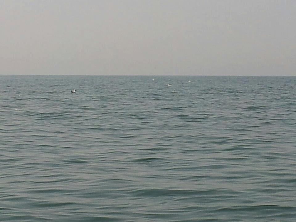 Photo of The lesser known Velneshwar Beach by Ryokõ-shä