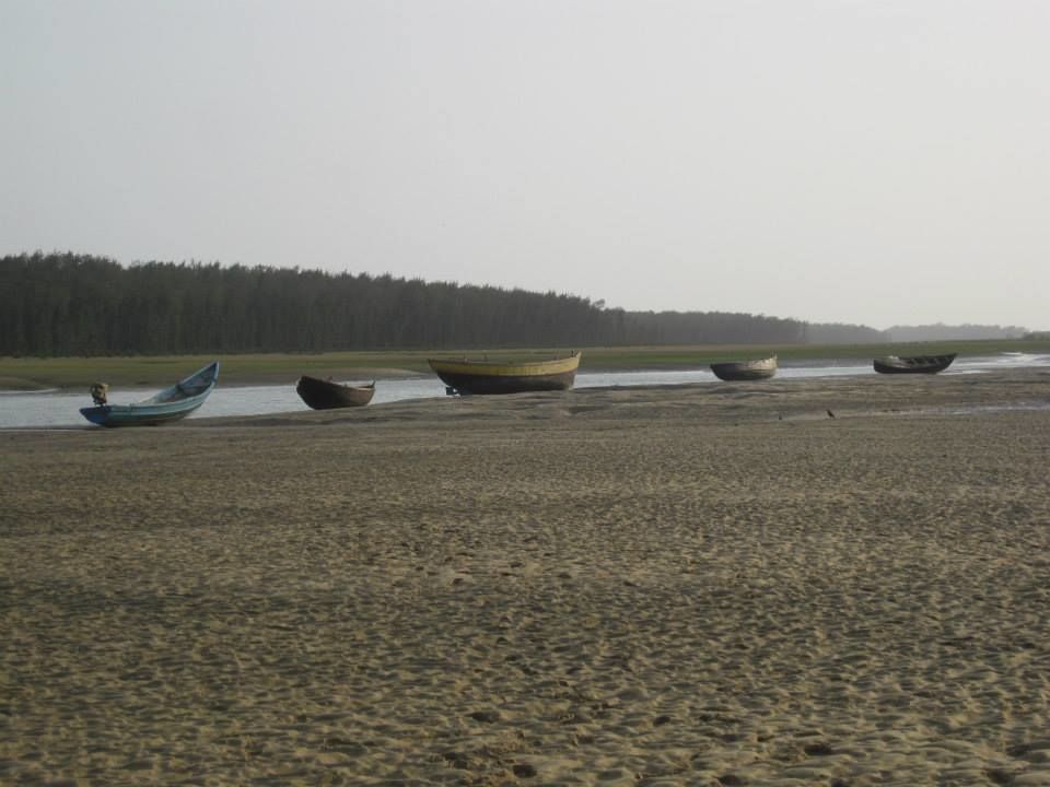 Photo of A quiet beach in the neighboring State, Talsari! by Ryokõ-shä