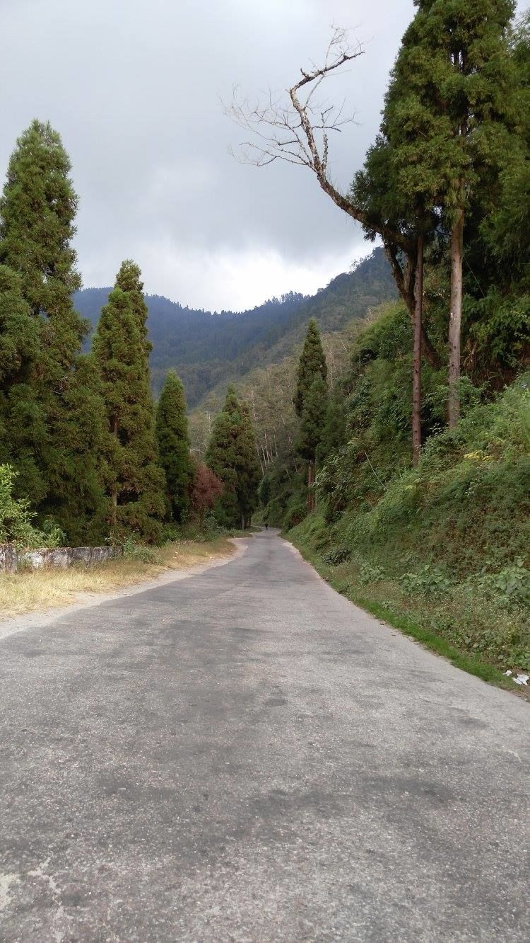 Photo of A trip to Kalimpong and Delo! by Ryokõ-shä