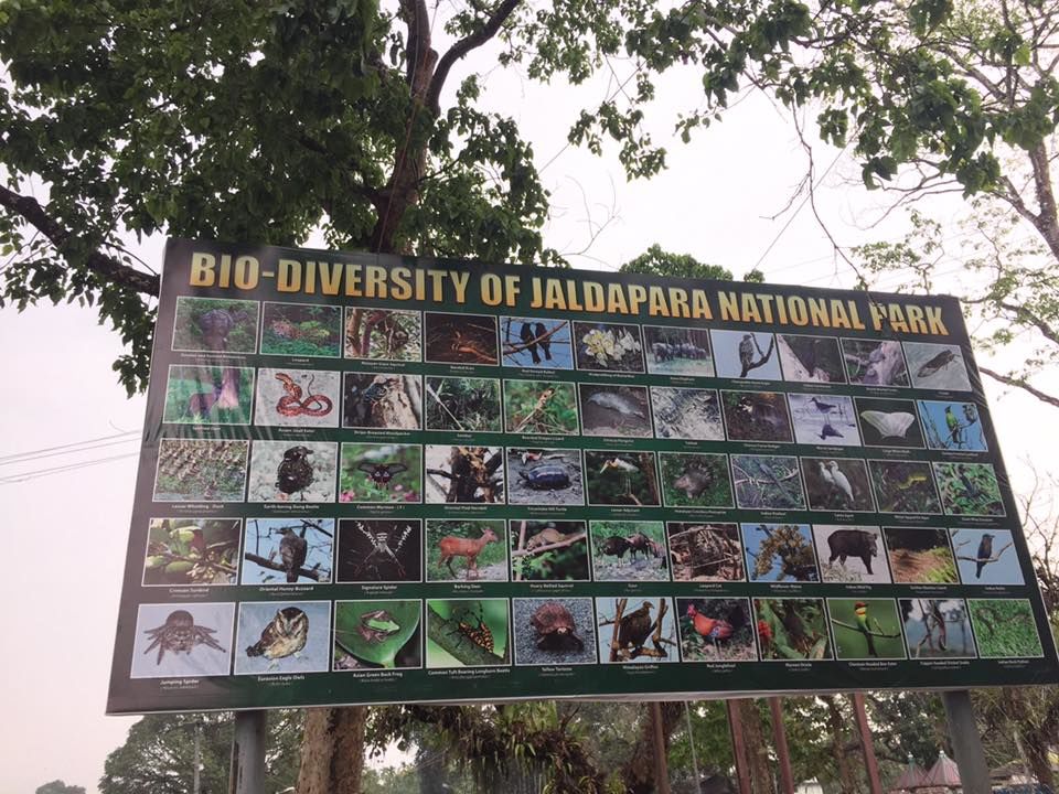 Photo of Jaldapara National Park, Uttar Madarihat, West Bengal, India by Ryokõ-shä