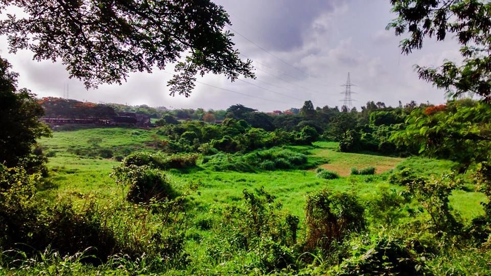 Photo of Running and Mumbai 7/15 by Rimi Sen