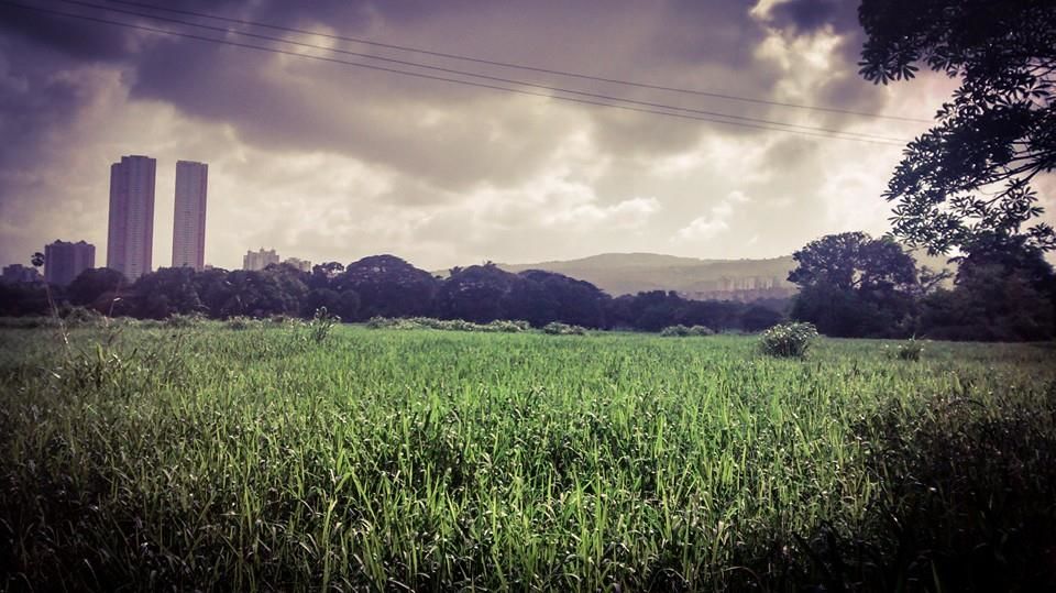 Photo of Running and Mumbai 6/15 by Rimi Sen