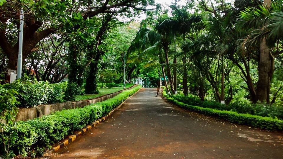 Photo of Running and Mumbai 10/15 by Rimi Sen