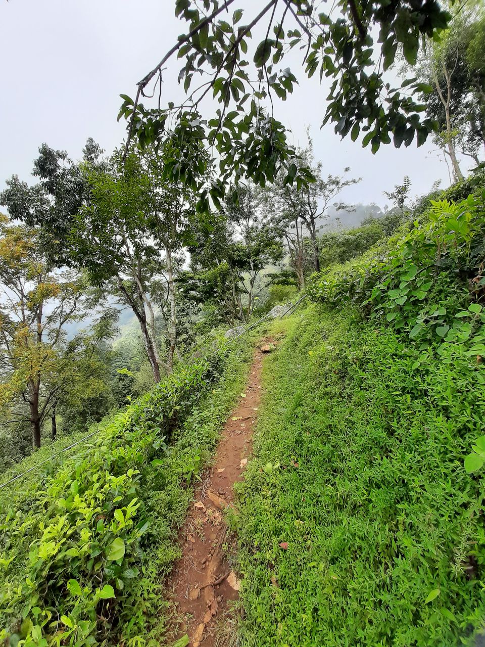 Photo of Kodanad View Point, Kodanad, Tamil Nadu, India by Karun Sunku