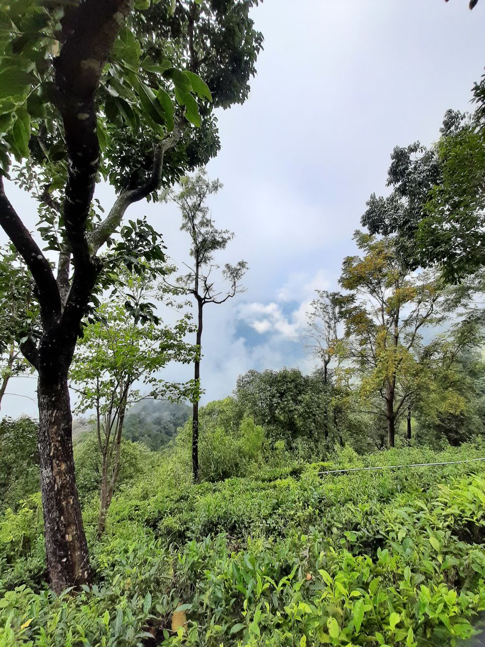 Photo of Kodanad View Point, Kodanad, Tamil Nadu, India by Karun Sunku