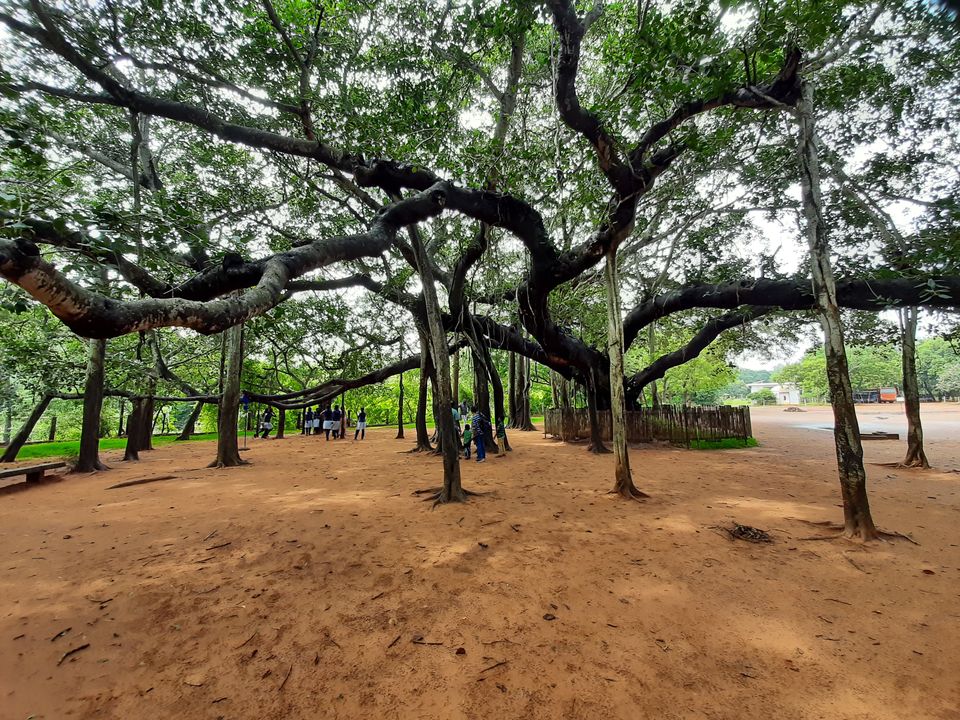 Photo of Pondicherry! - A must place for beautiful Beaches, Culture, Museum, Ashrams! 1/24 by Karun Sunku