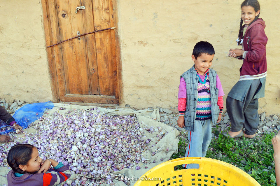 Photo of Sarchi – A quaint hamlet tucked away in hills of Himachal 3/4 by Sundeep & Bedabrata