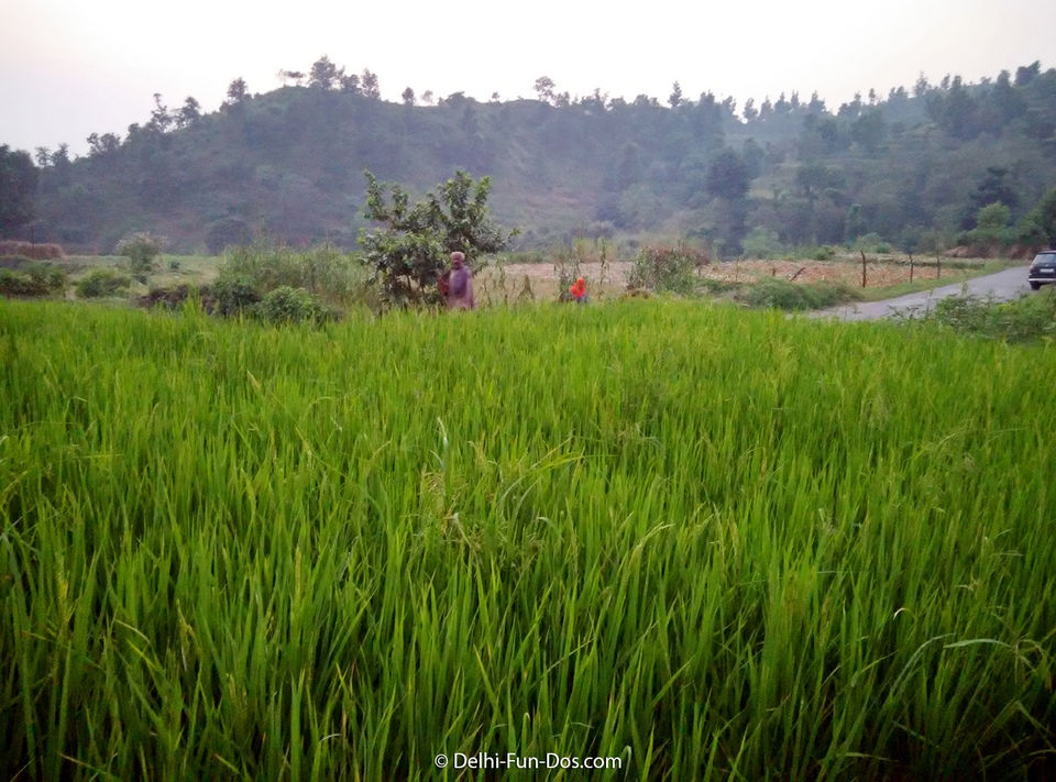 Photo of Morni Hills, Haryana by Sundeep & Bedabrata