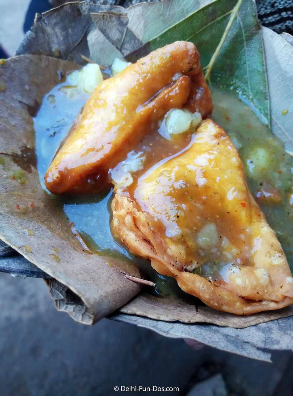 Photo of Roadtrip to Gwalior for a Vegetarian #foodtrail by Sundeep & Bedabrata