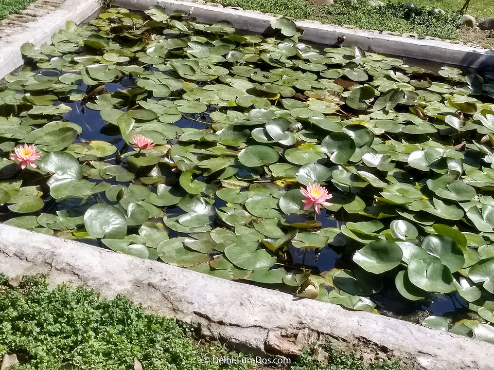 Photo of Aahana - Wellness resort and a #luxurygetaway 5/13 by Sundeep & Bedabrata
