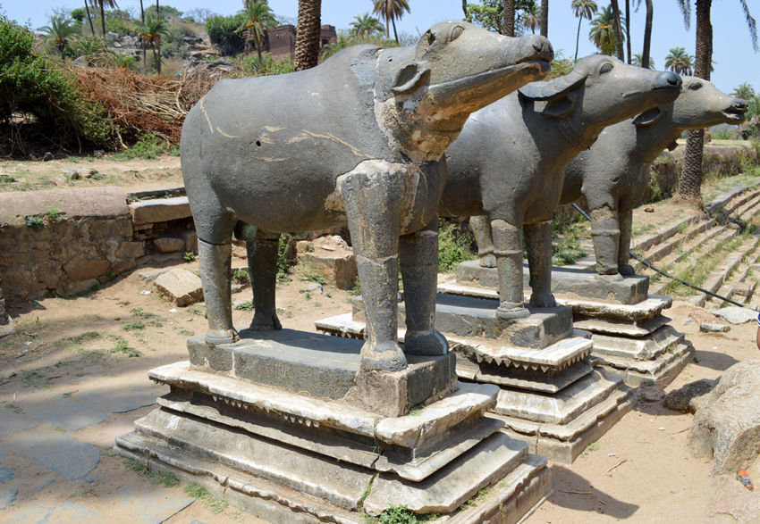 Photo of Mount Abu-Dilwara temples & joys of a hill station 10/55 by Sundeep & Bedabrata