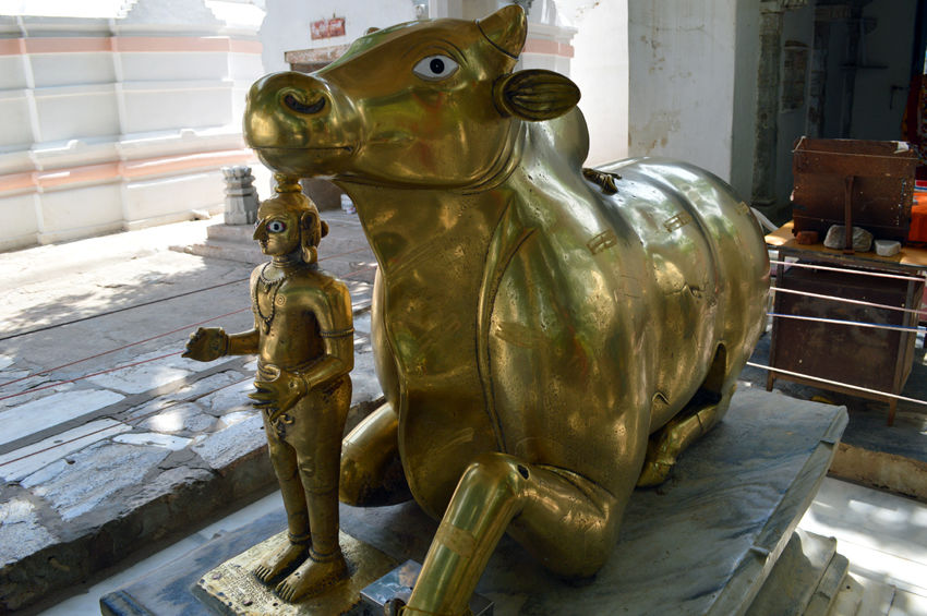 Photo of Mount Abu-Dilwara temples & joys of a hill station 11/55 by Sundeep & Bedabrata