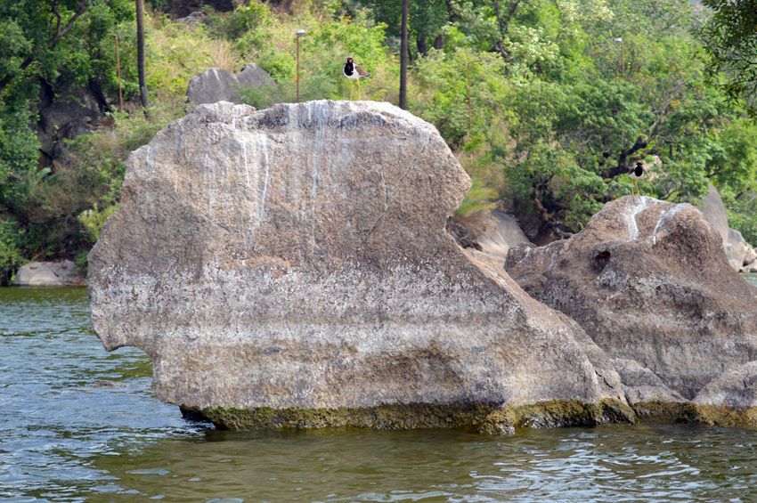 Photo of Mount Abu-Dilwara temples & joys of a hill station 3/55 by Sundeep & Bedabrata