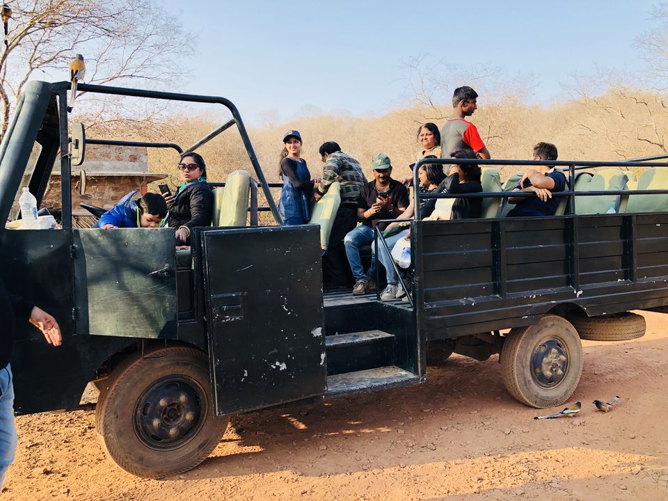 Photo of Wildlife Safari in Ranthambore 3/7 by Akash Singhal