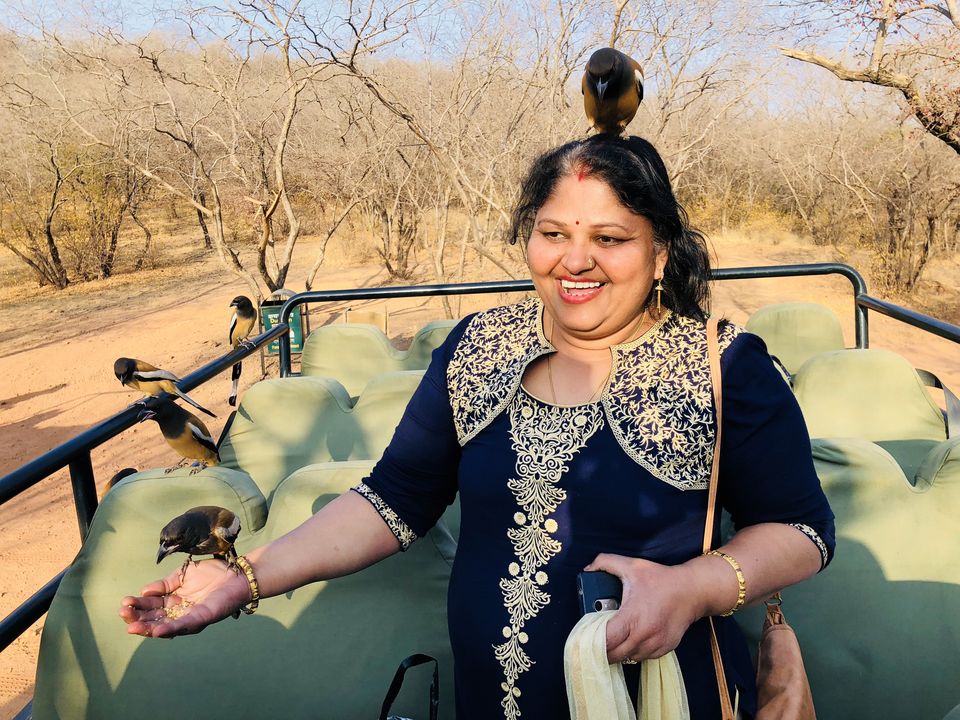Photo of Wildlife Safari in Ranthambore 5/7 by Akash Singhal