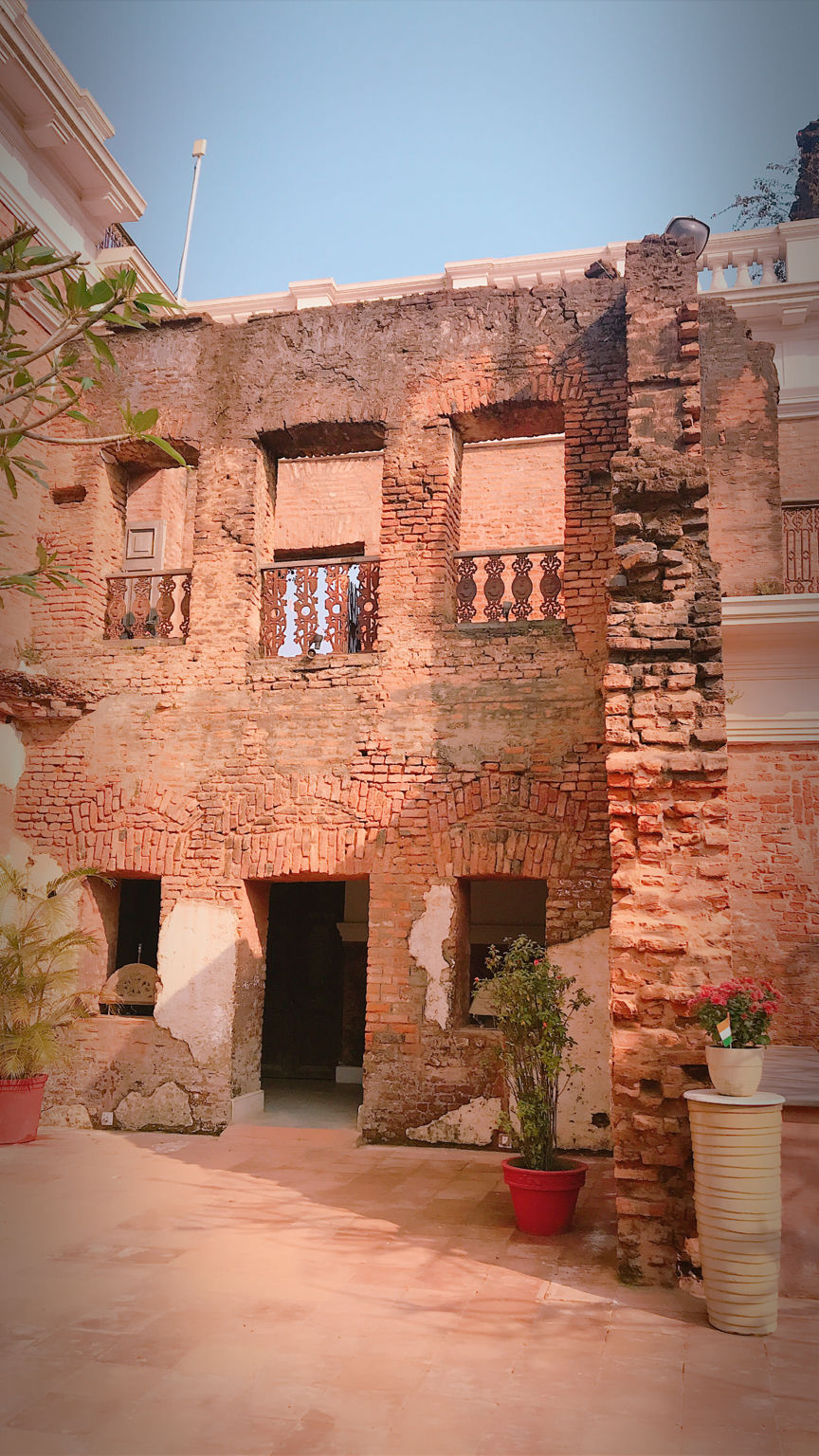 Photo of Hasnecha,Raypur by Vandana Goenka