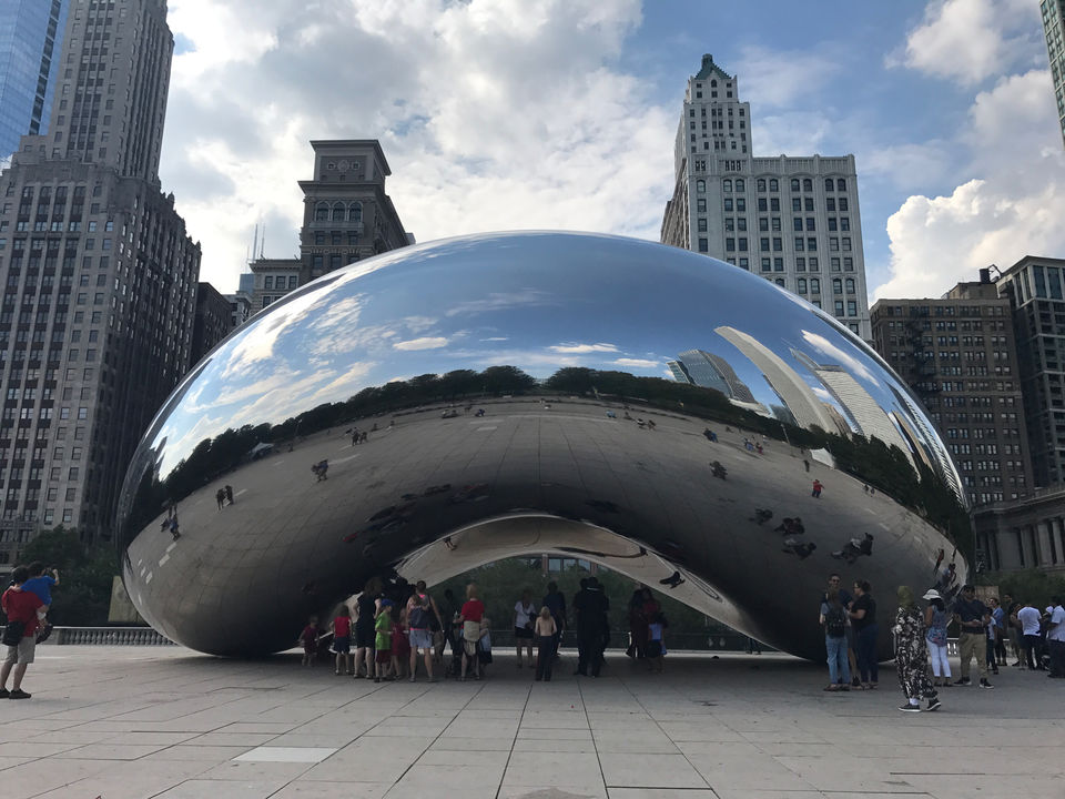 Photo of Chicago Loop,Chicago by Vandana Goenka