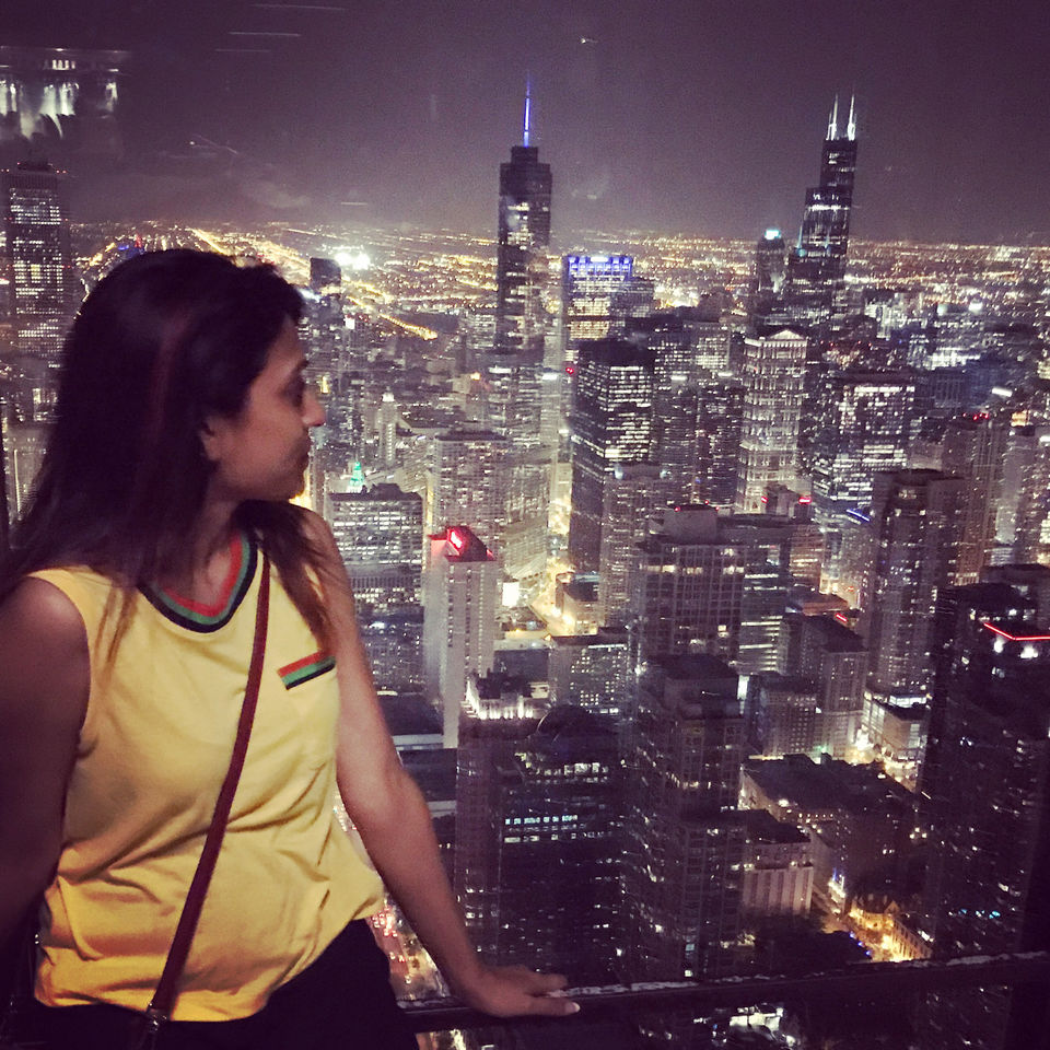 Photo of Chicago Loop,Chicago by Vandana Goenka