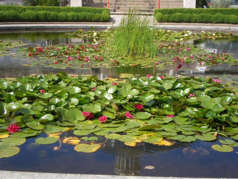 Photo of Rosenborg Castle, København, Denmark by Vandana Goenka