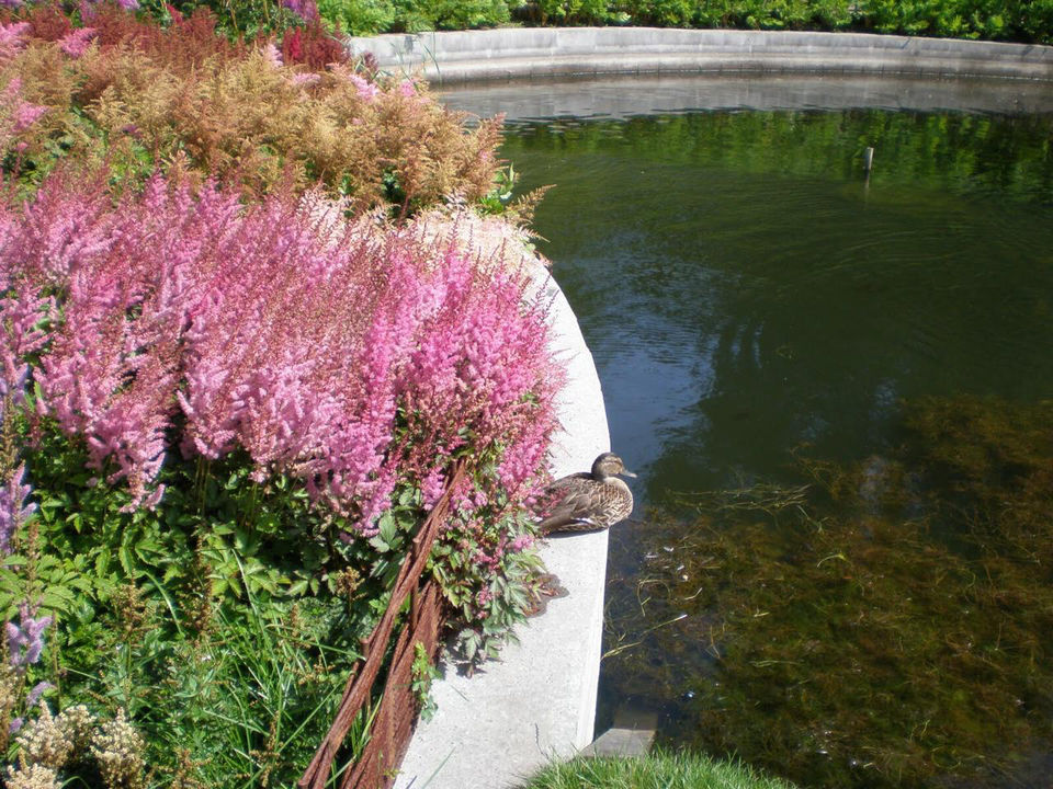 Photo of Frederiksberg Gardens, Frederiksberg, Denmark by Vandana Goenka