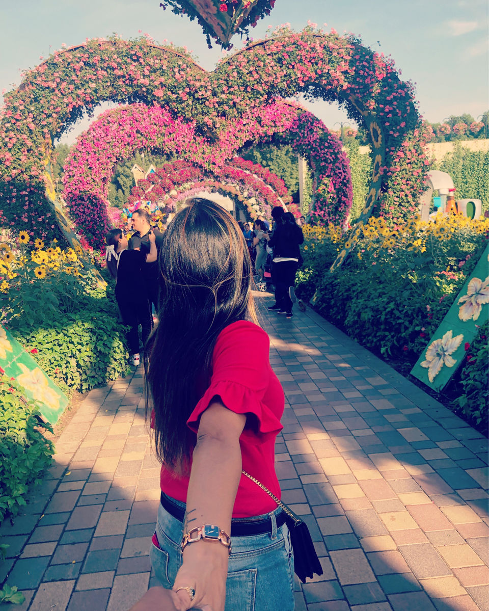 Photo of Dubai Miracle Garden - Dubai - United Arab Emirates by Vandana Goenka
