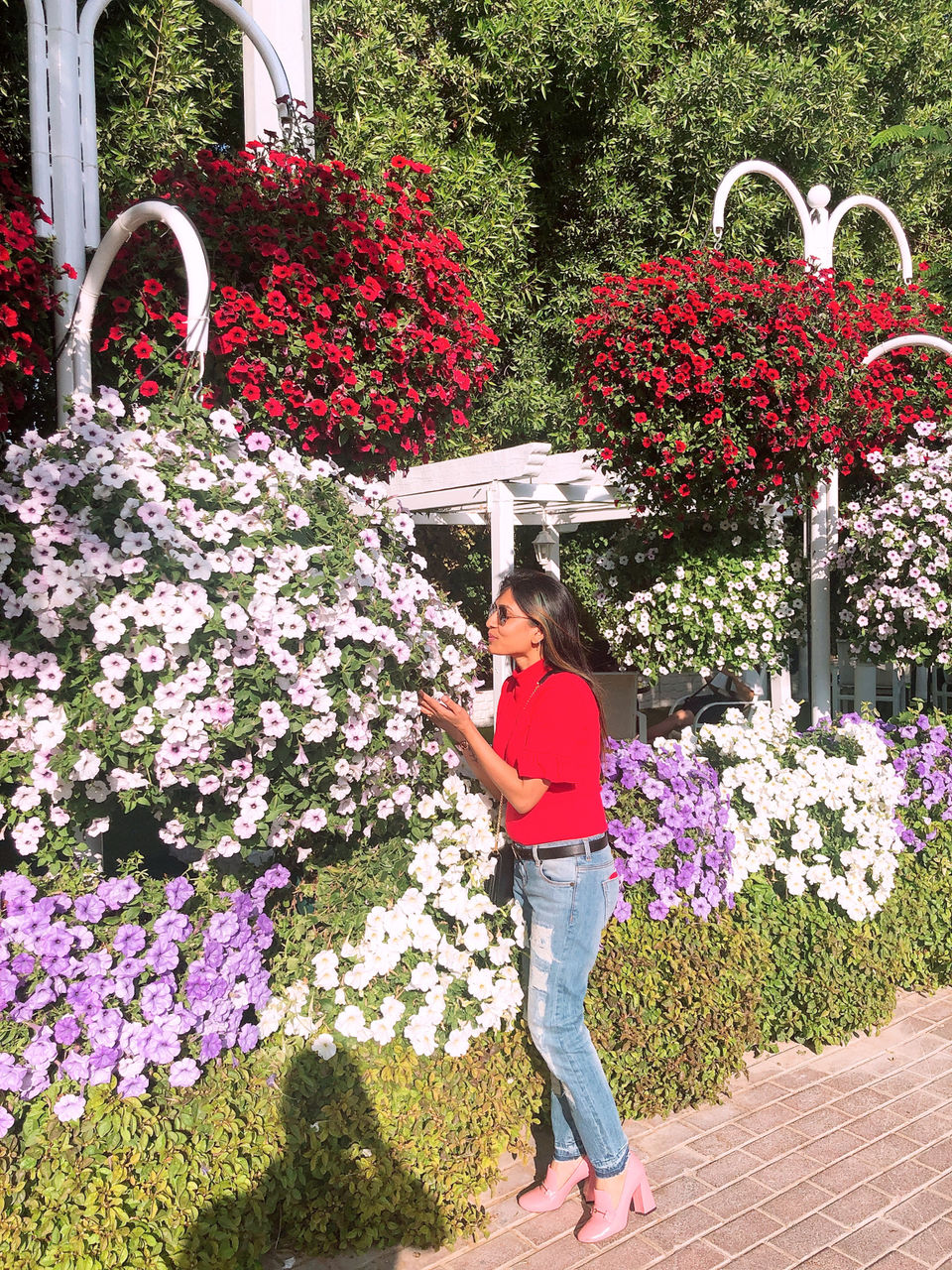 Photo of Dubai Miracle Garden - Dubai - United Arab Emirates by Vandana Goenka